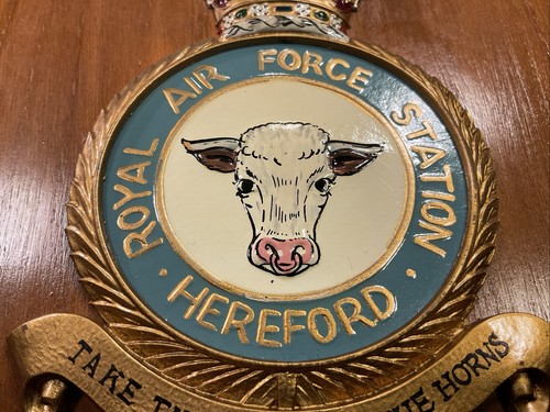 Vintage royal air force - force, (raf)