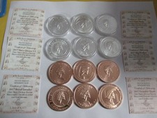  2017 Silver/copper shield