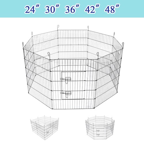 Dog pet pen rabbit - dog, puppy