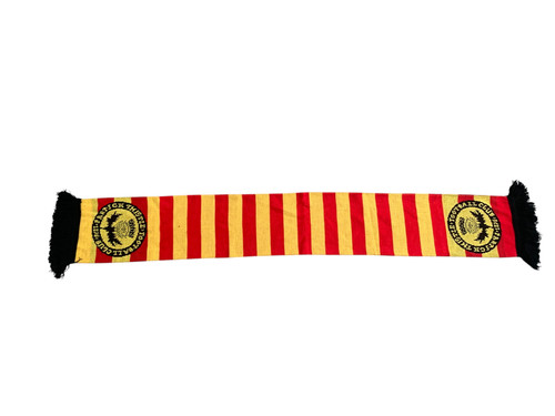 Partick thistle football scarf - thistle,