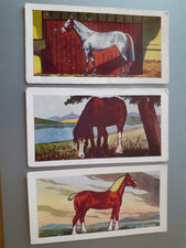 ABC Minors (Cinema) Horses - 1958 #1, #8 & #10