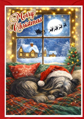 Skye terrier dog - skye,