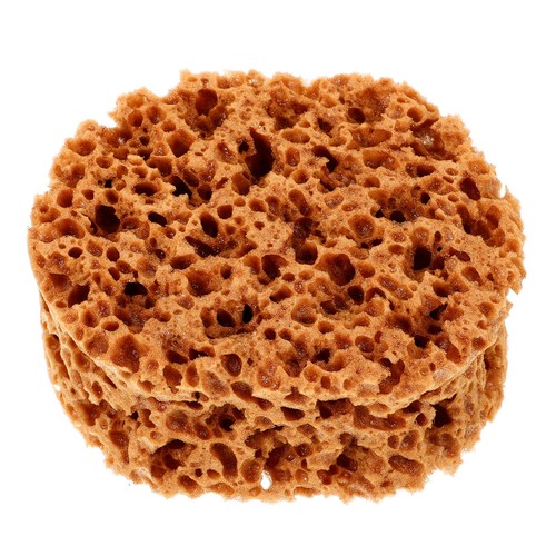 Natural sea sponge - natural,