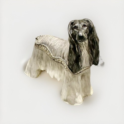 Rucinni afgan dog - afgan,