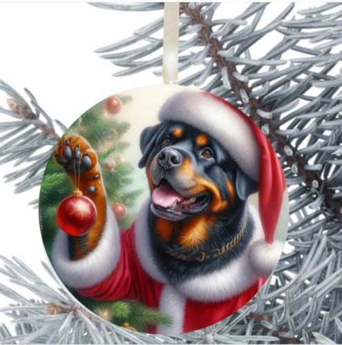 Rottweiler dog hanging - rottweiler,