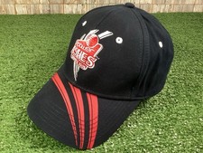 Ashes Cricket Npower Series