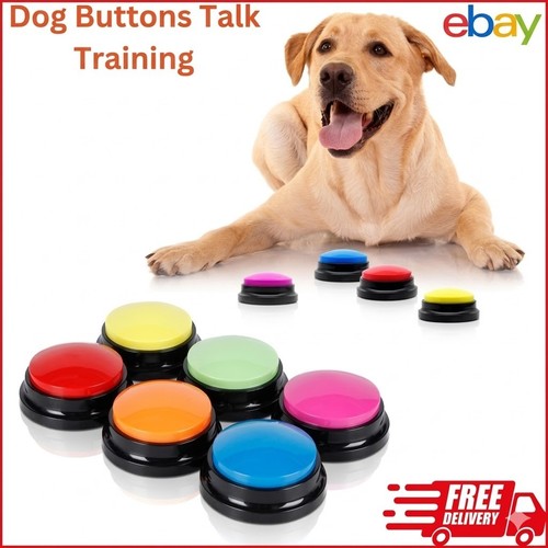 Recordable dog talking - 4,