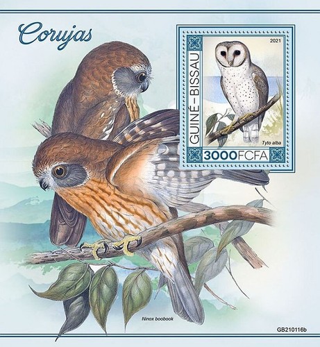 Owls birds prey - of, birds/bird