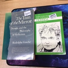 The Tain of the Mirror