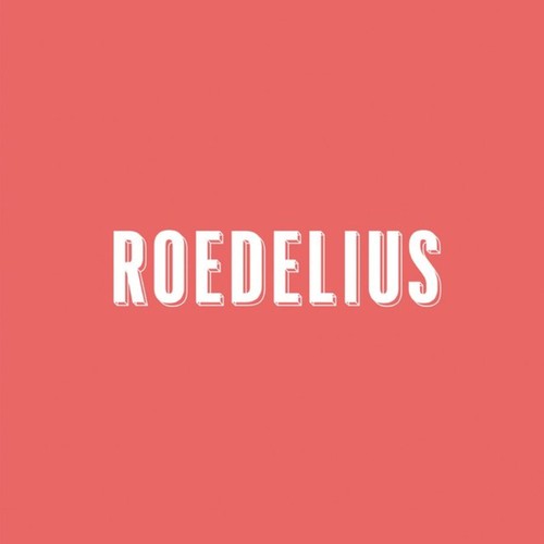 Roedelius drauf und - und, (rsd
