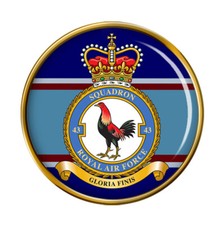 43 Squadron, RAF Pin Badge