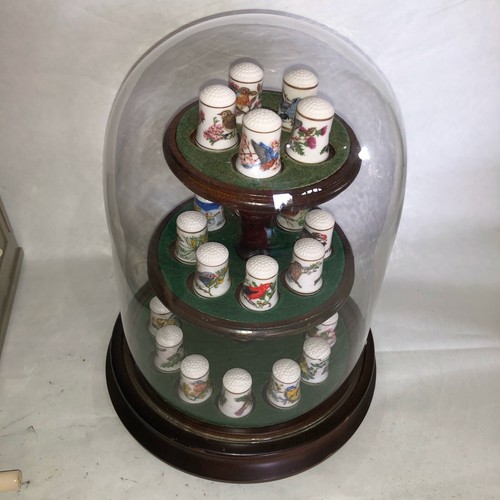 Thimbles songbirds of the - thimbles,