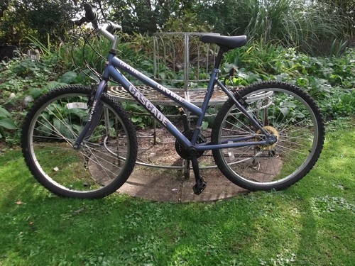 Ladies cascade divine bicycle - ladies,