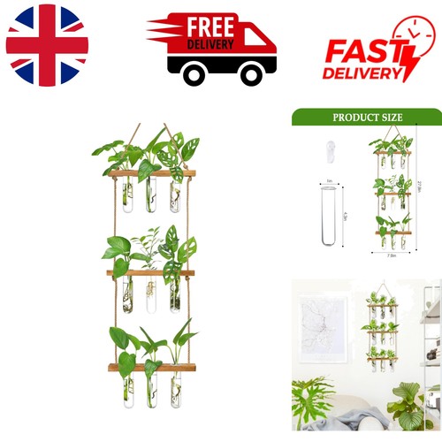 Modern hydroponic plant - hydroponic,