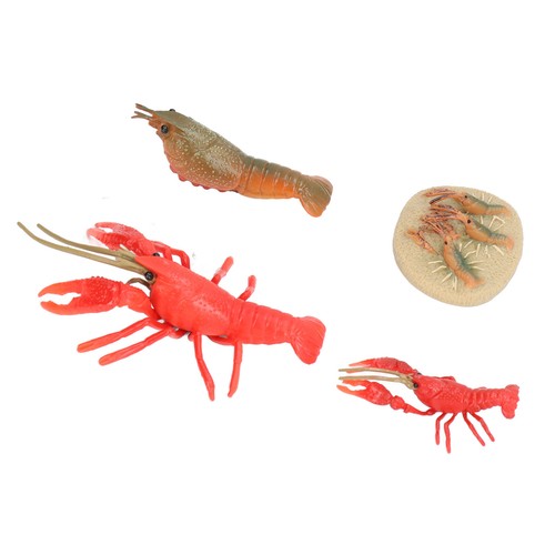 Simulation lobster growth - simulation,