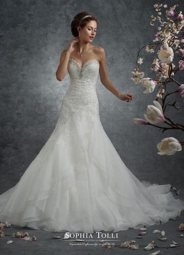 Sophia tolli y21741 perseus - tolli,