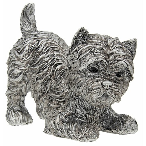 Playful west highland - playful, terrier