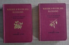 Vintage Books 1930s Wayside &