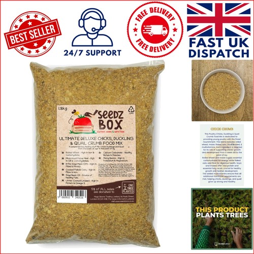Eco friendly chick - crumb, feed