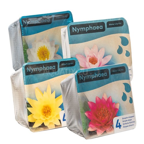Prepacked water lily pond - water,