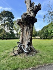 Giant TCR Composite Carbon