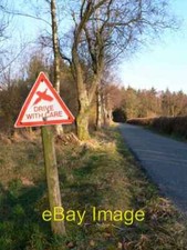 Photo 6x4 Pheasant Rearing