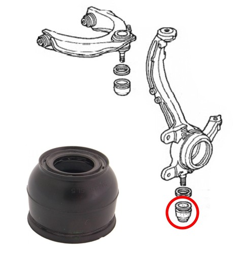 Front knuckle arm bottom - knuckle,