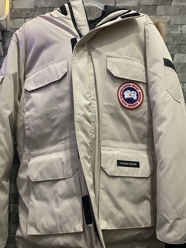 Canada goose expedition park - goose,