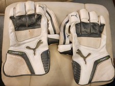 Puma Evopower SE Cricket