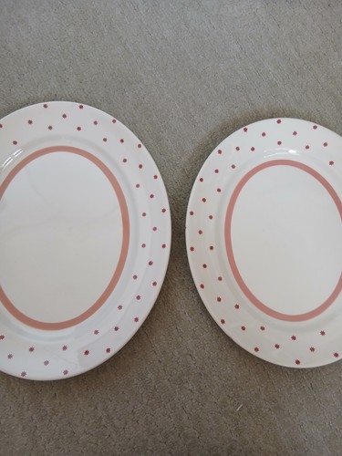 Burleigh ware hand - ware, painted