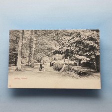 Hadley Wood Postcard 1903 London Suburbs Edwardian Lady With Pram Rural Path