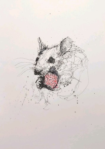 Original mouse eating - mouse,