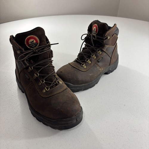 Irish setter red wing - setter,
