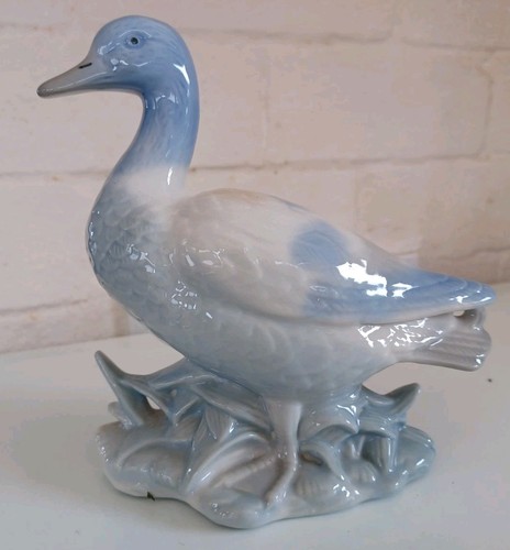 Beautiful elegant ladro - beautiful,