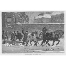 LONDON A Horse Pulled Snow