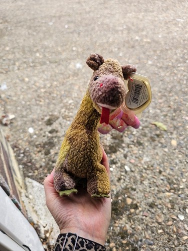 Beanie baby scorch - ty,