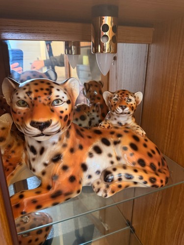 Ceramiche boxer leopard - ceramiche,