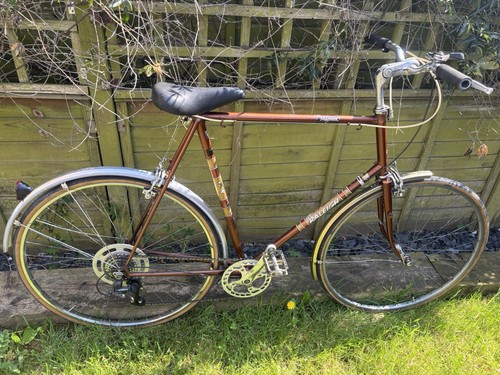 Raleigh magnum vintage gents - raleigh,