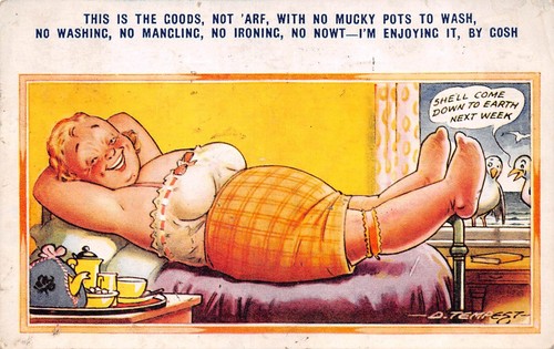 Postcard comic fat lady - comic,
