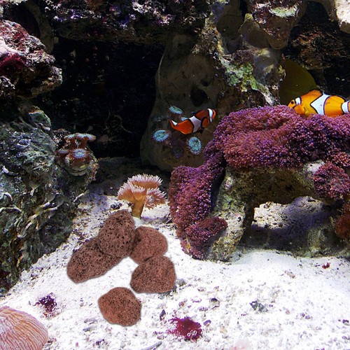 Durable volcanic fish tank - durable,