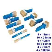 Silverline Disposable Paint