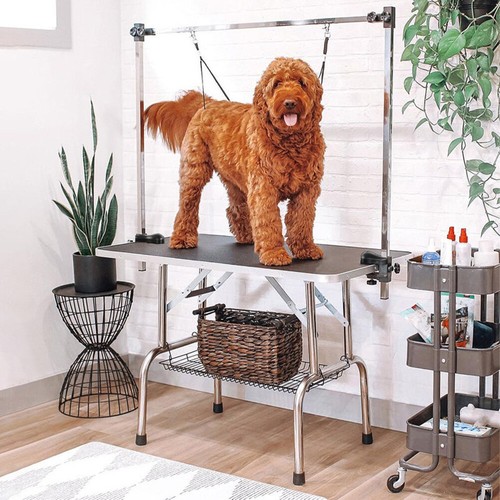 Portable 3ft pet dog grooming - dog,