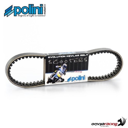 Polini variator aramid belt