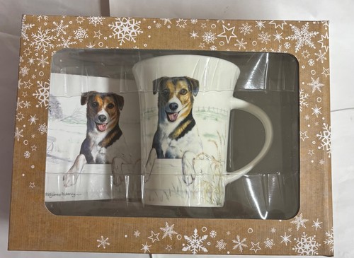 Jack russell terrier - terrier, dog