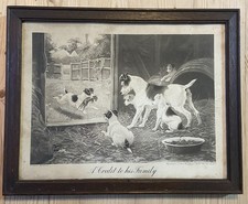 Jack Russel Terrier Stanley