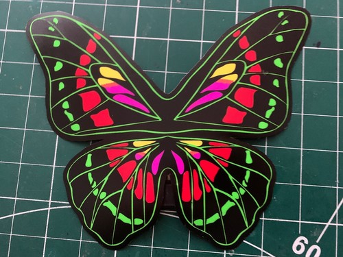 Beautiful butterfly flashing - beautiful,