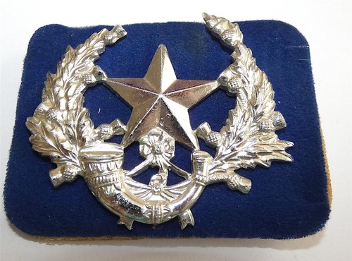 Cameronians scottish rifles - cameronians,