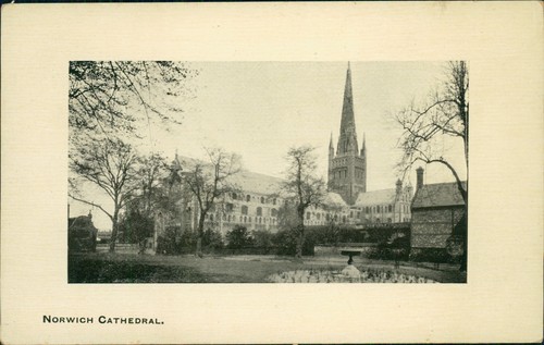 Postcard norwich cathedral - postcard,