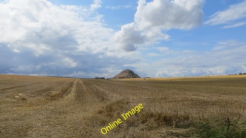 Photo 6x4 stubble rhodes - 6x4, stubble,