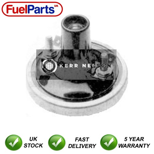 Kerr nelson ignition coil - nelson,